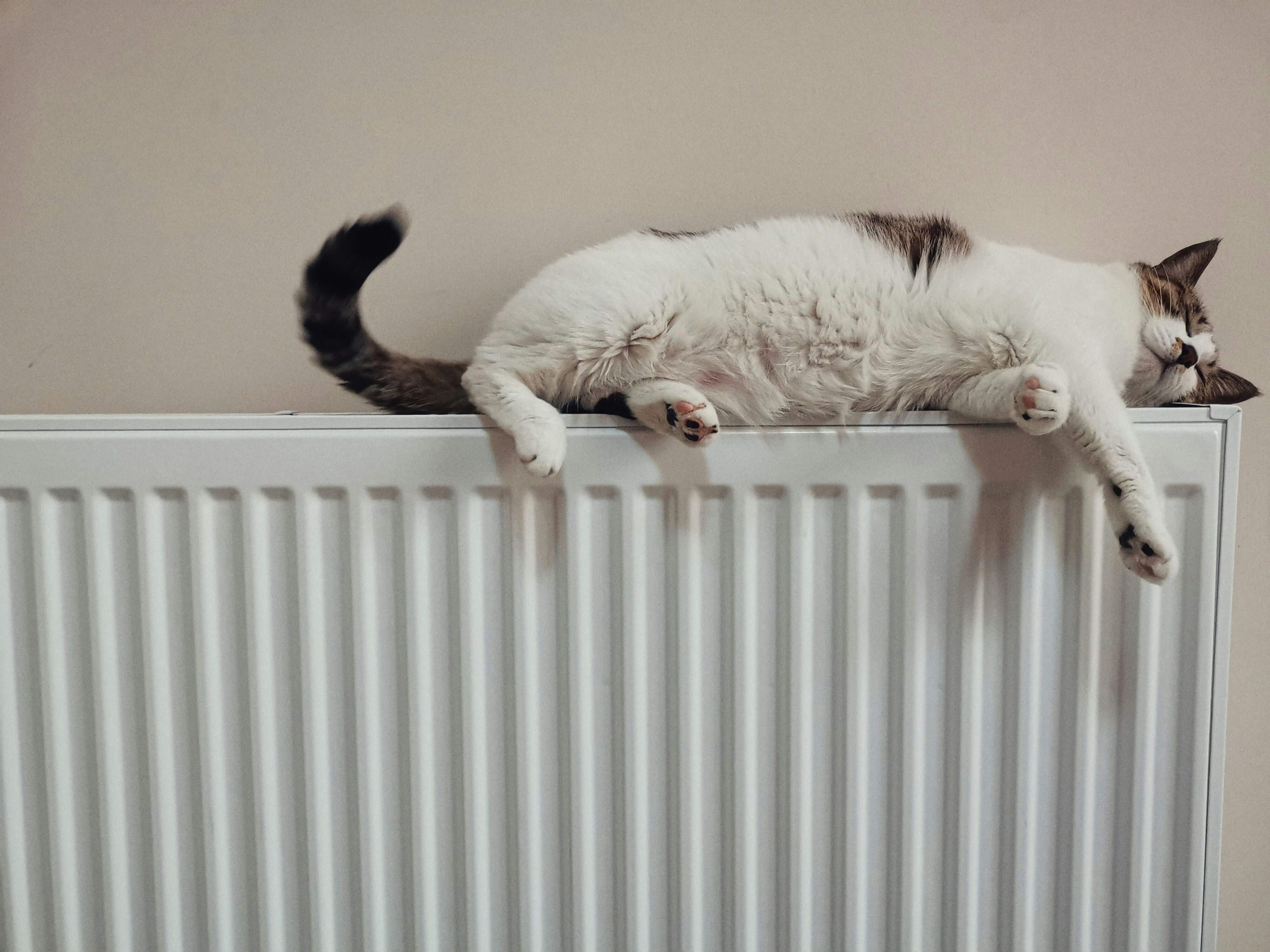 Stay Warm and Cozy: Essential Heating Maintenance Tips for Winter Comfort